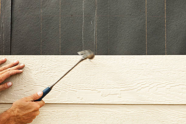 Best Fiber Cement Siding Installation  in Dacula, GA